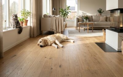 Parkett für Haustierbesitzer: So bleibt Ihr Boden schön – auch mit Hund & Katze